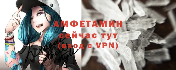 ГАЛЛЮЦИНОГЕННЫЕ ГРИБЫ Бородино