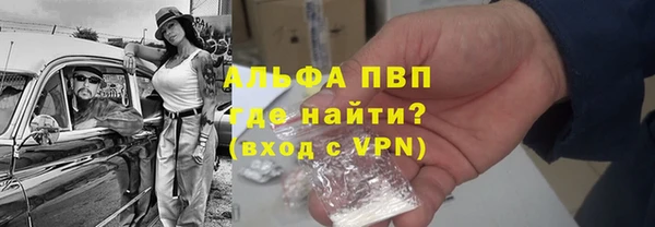 ГАЛЛЮЦИНОГЕННЫЕ ГРИБЫ Бородино