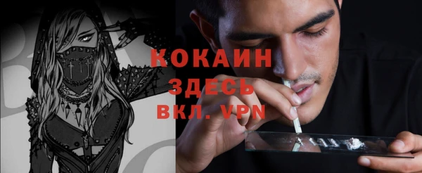 ГАЛЛЮЦИНОГЕННЫЕ ГРИБЫ Бородино