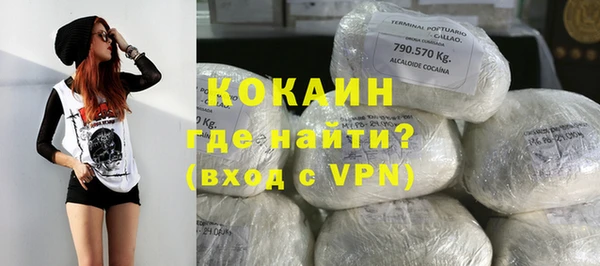 ГАЛЛЮЦИНОГЕННЫЕ ГРИБЫ Бородино